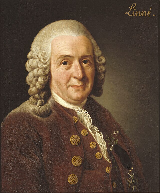 60 citat av Carl von Linné
