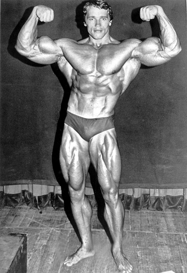 Arnold Schwarzenegger biografi
