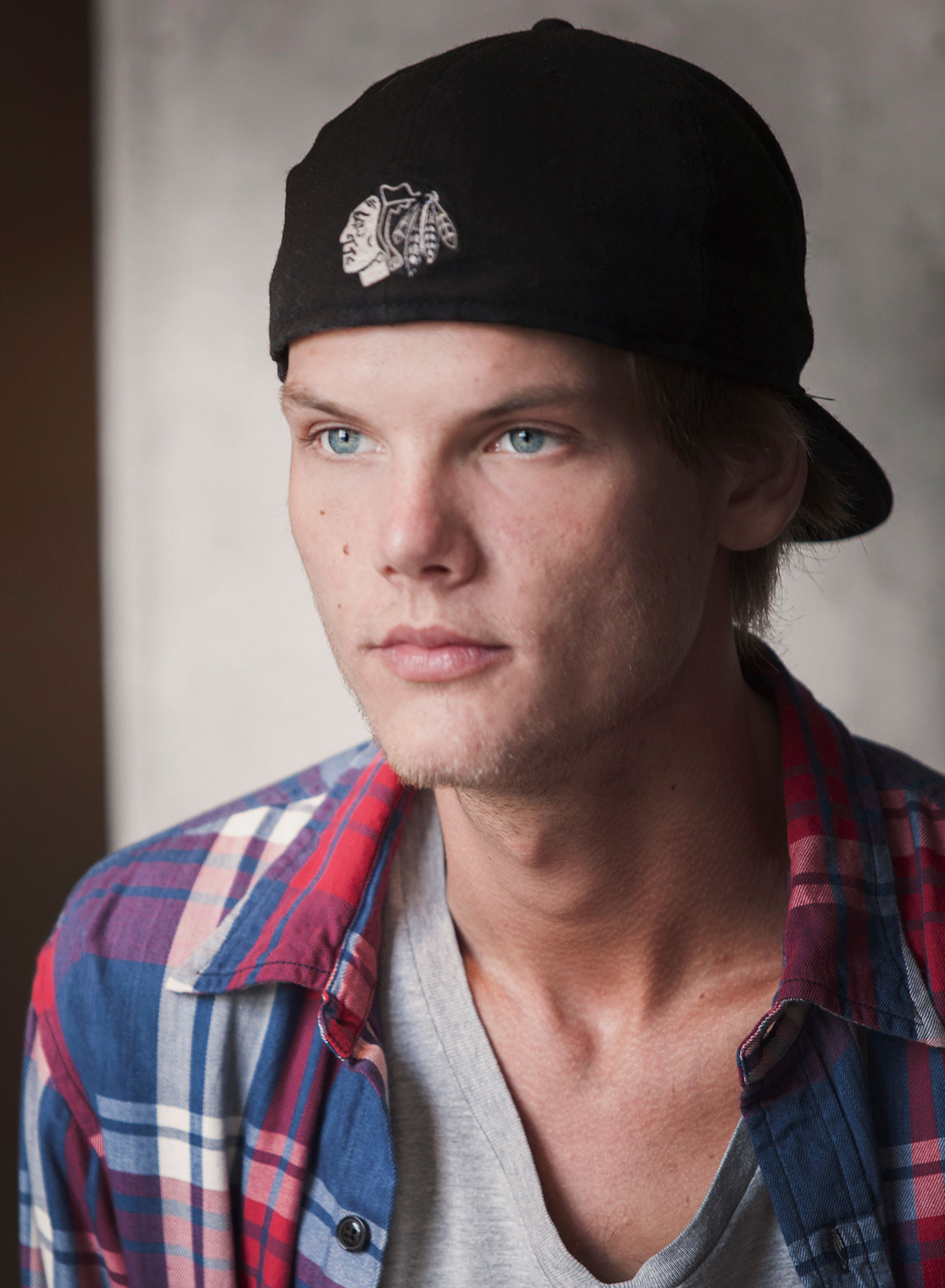 Avicii biografi