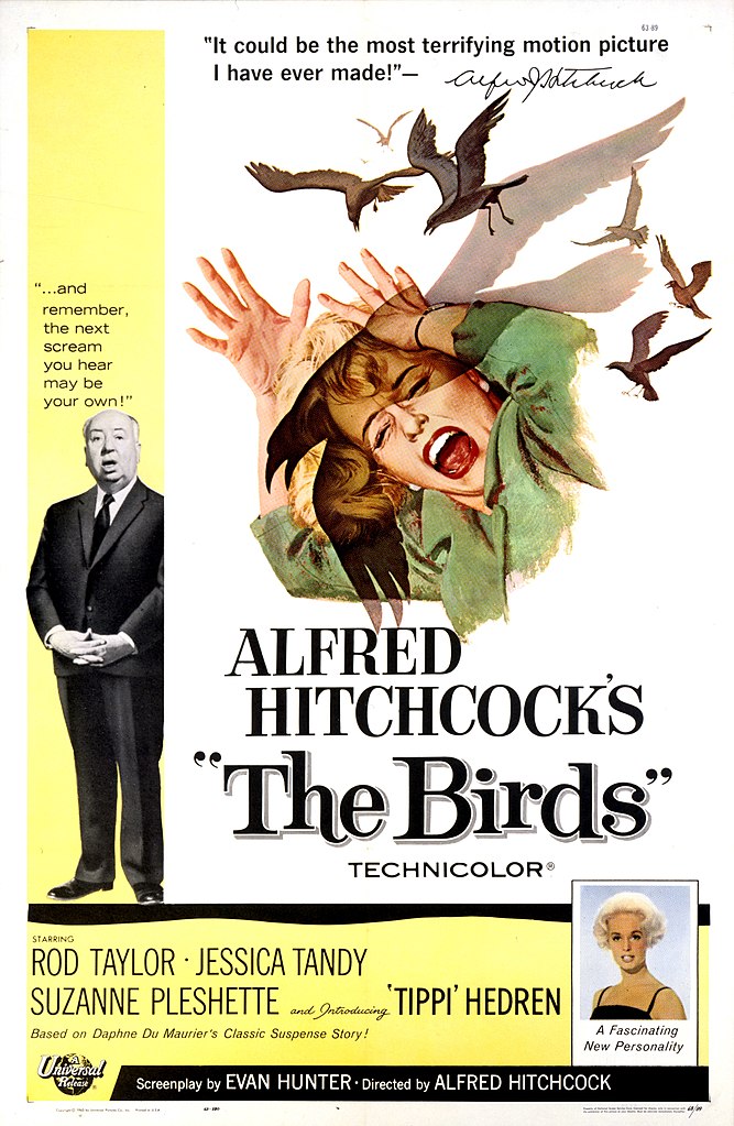 Sammanfattning av Fåglarna av Alfred Hitchcock