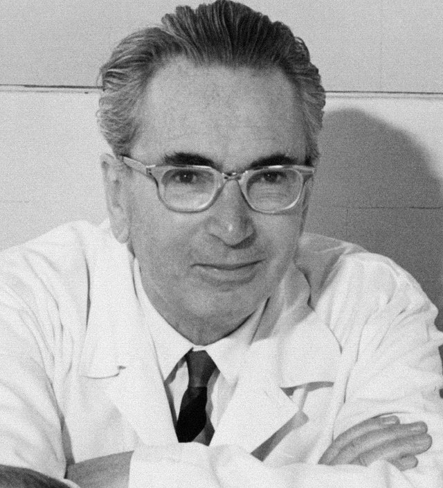 Sammanfattning av Livet måste ha mening av Viktor Frankl