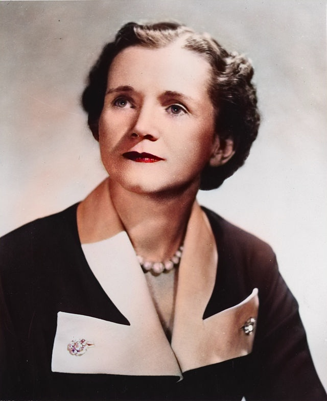 Sammanfattning av Tyst vår av Rachel Carson